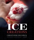 'Ice Creations Ice Creations