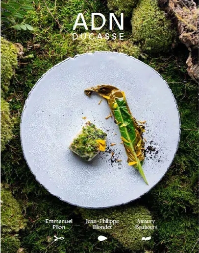 ADN - Volume 1 Alain Ducasse - Emmanuel Pilon - Amaury Bouhours - Jean-Philippe Blondet